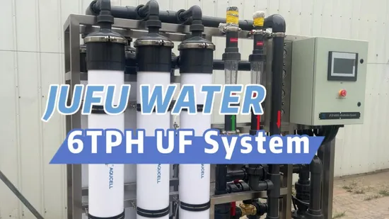 Sistema di trattamento dell'acqua con ultrafiltrazione da 6 tph Sistema di trattamento dell'acqua minerale per uso commerciale