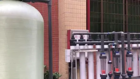 Sistema di ultrafiltrazione a membrana da 40 tph per succhi di frutta/verdura