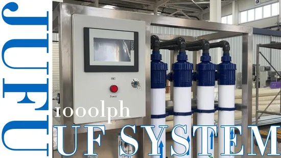 Sistema di ultrafiltrazione 1000 lph UF Apparecchiatura di filtrazione a membrana Controllo PLC