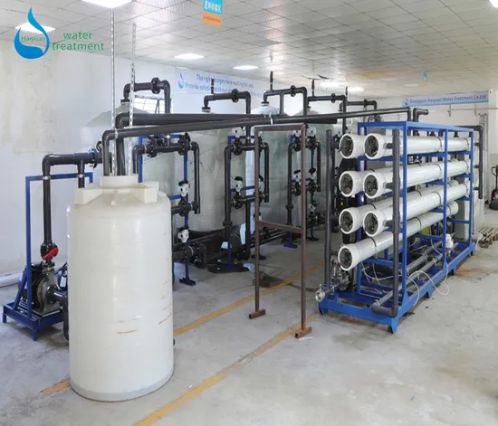 Sistema di osmosi inversa professionale personalizzato da 1000 litri a 50 m3 di pH, macchinari per la purificazione dell'acqua per l'irrigazione potabile o l'industria dalla Cina